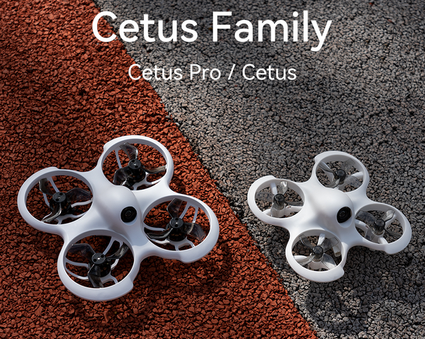 Cetus family